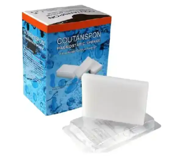 absorbable gelatin sponge